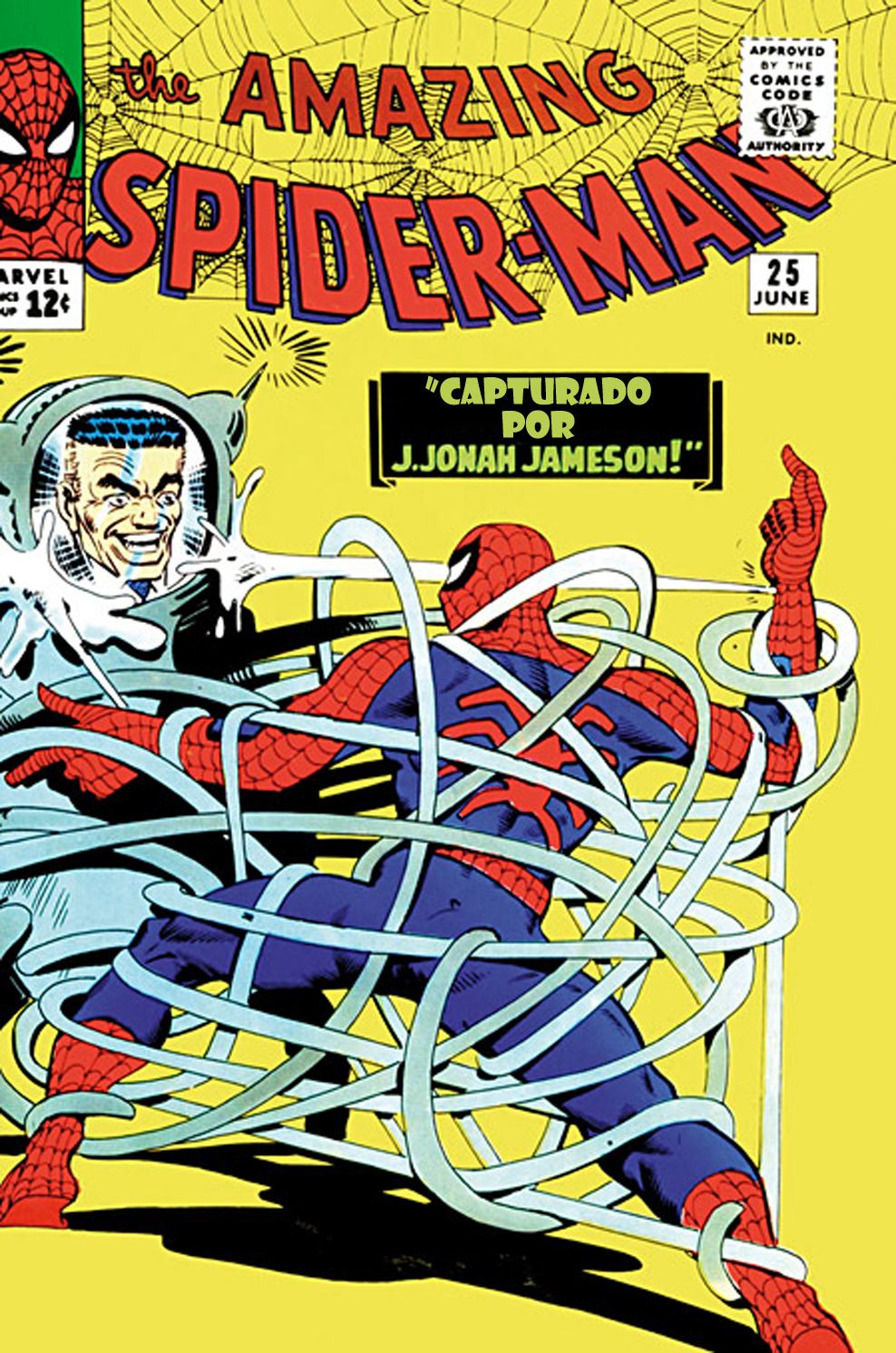 Carátula 27 The Amazing Spider-Man #025.cbr