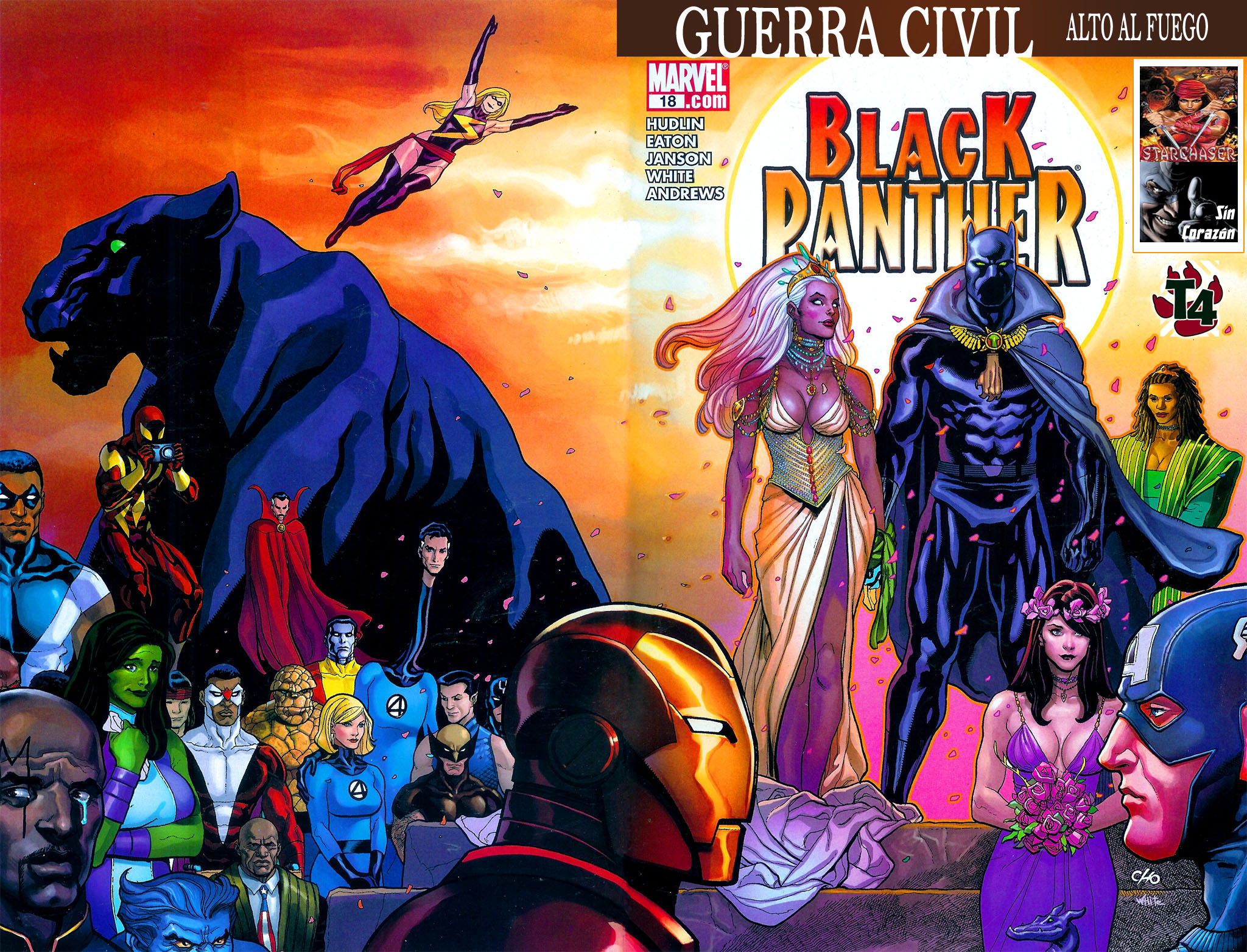 Carátula 029 Black Panther 18.cbr