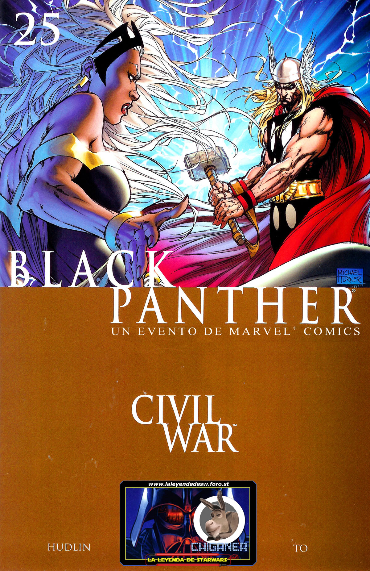 Carátula 100 Black Panther 25.cbr