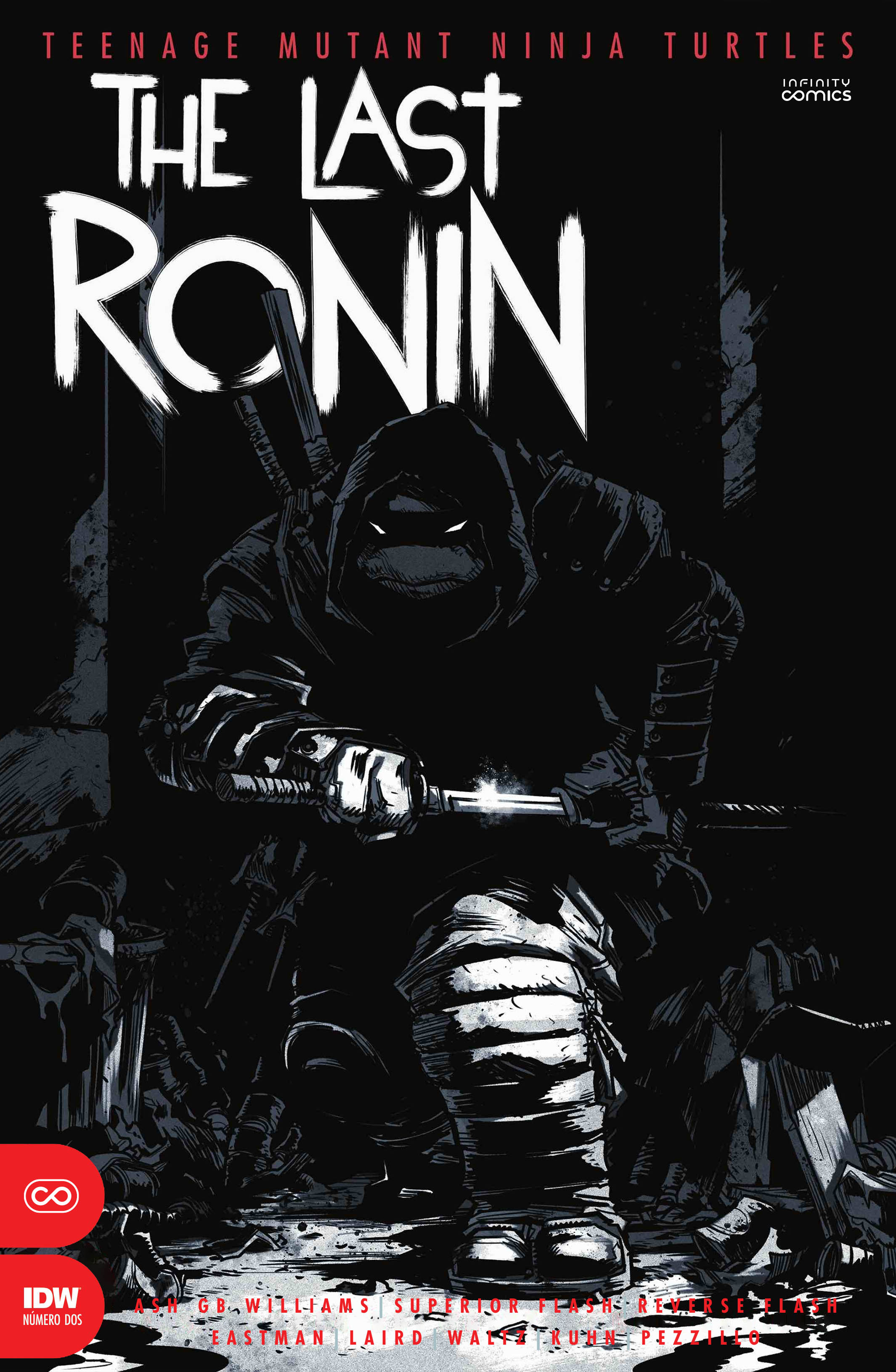 Carátula TMNT - The Last Ronin #2.cbr