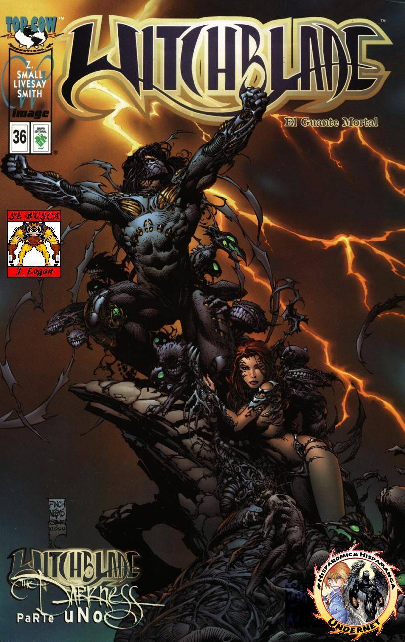 Carátula Witchblade #036.cbr