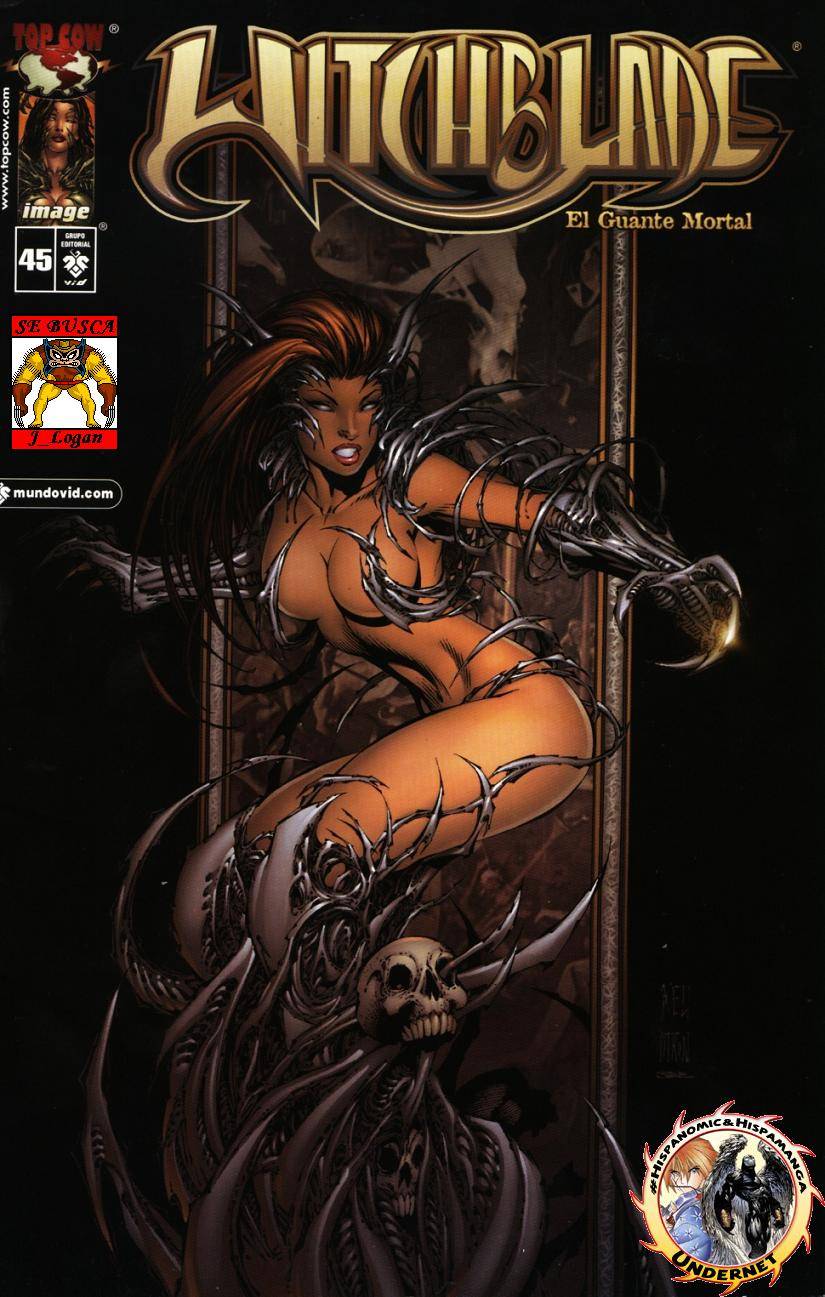 Carátula Witchblade #045.cbr