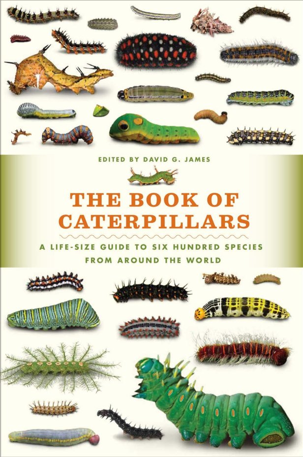 Carátula The Book of Caterpillars.pdf