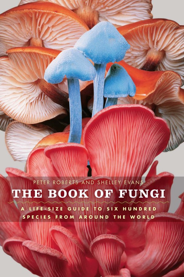 Carátula The Book of Fungi.pdf