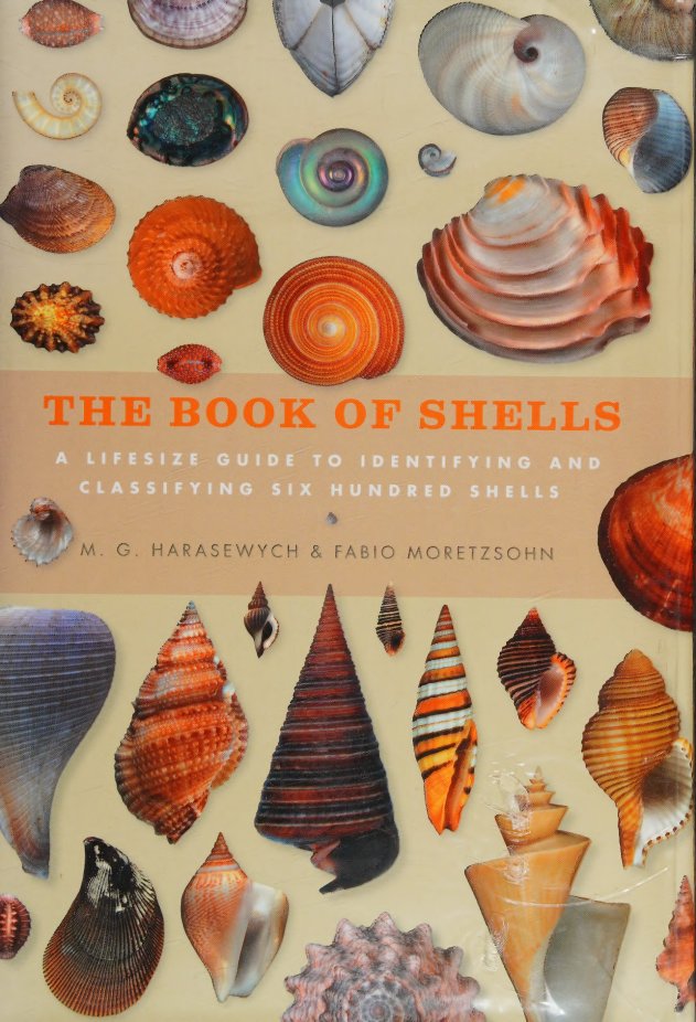 Carátula The book of shells.pdf