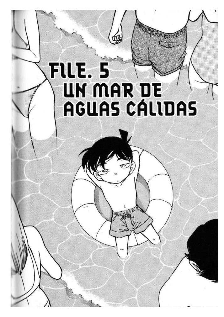 Carátula [311-325] Detective Conan.pdf