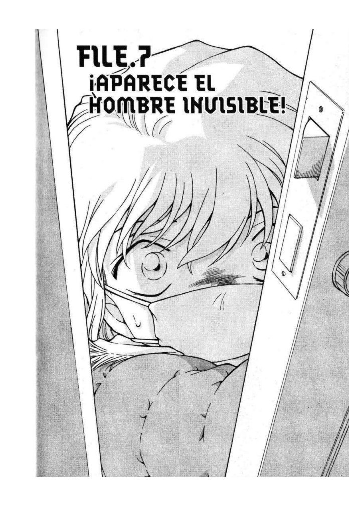 Carátula [431-445] Detective Conan.pdf