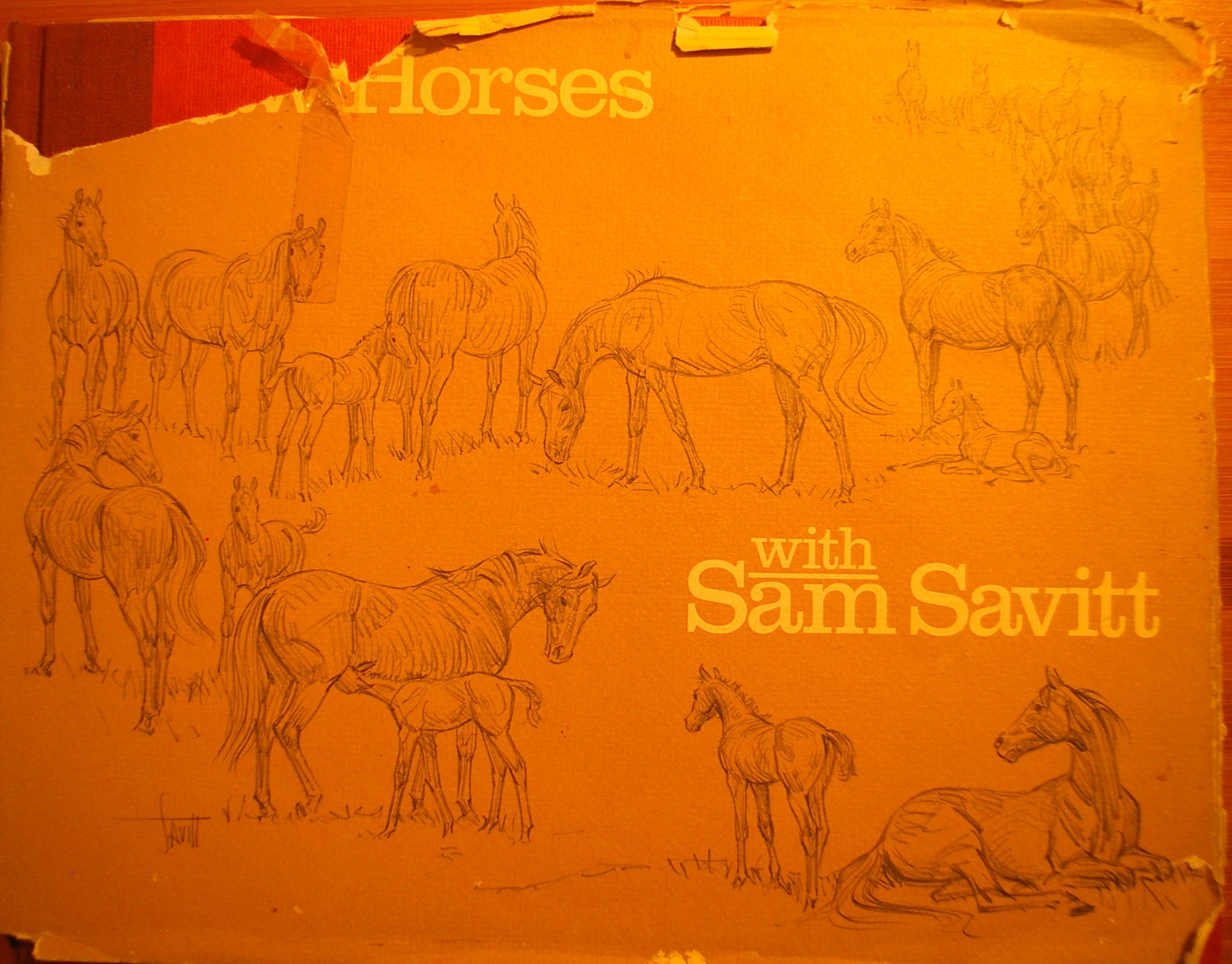 Carátula Draw Horses with Sam Savitt.pdf