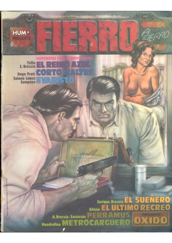Carátula 12 REVISTA FIERRO (chemopdf).pdf