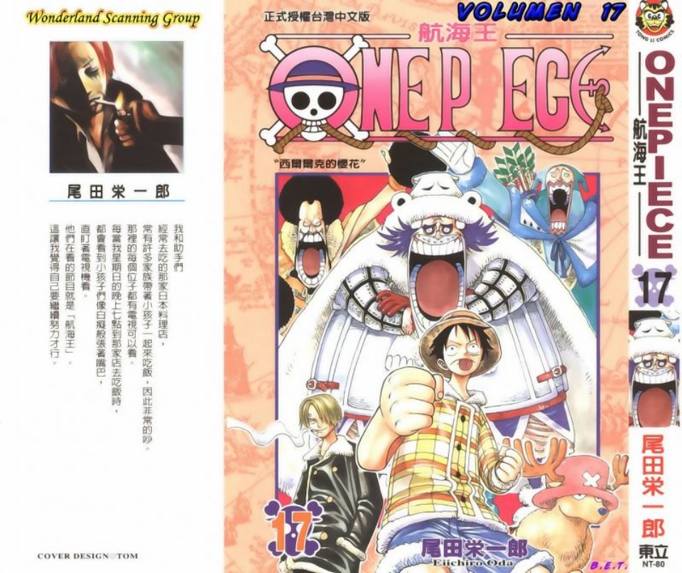 Tomo 17.pdf
