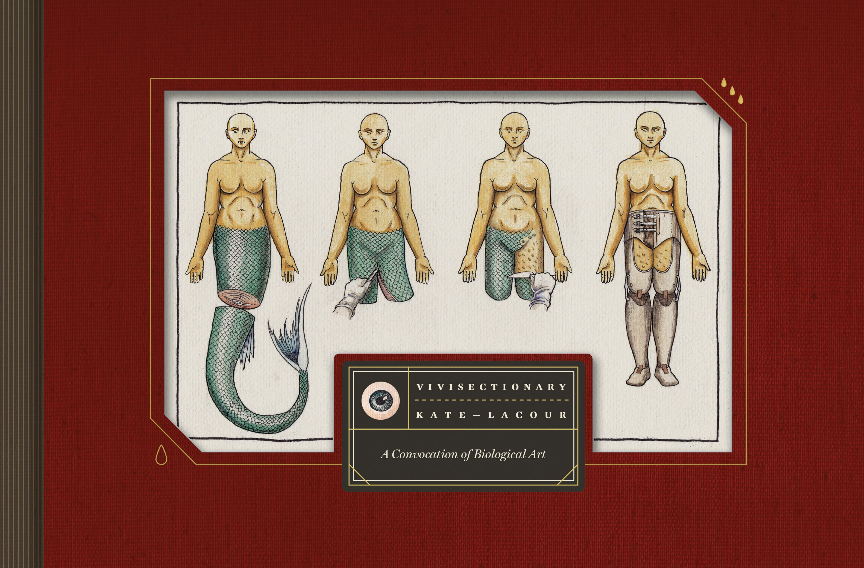 Carátula Vivisectionary.pdf