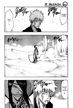 Carátula Bleach TOMO 33.pdf