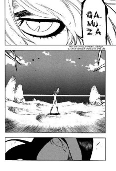 Carátula Bleach TOMO 34.pdf