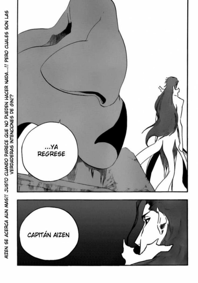 Carátula Bleach TOMO 48.pdf